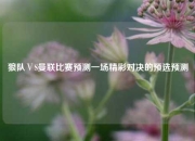 狼队ⅤS曼联比赛预测一场精彩对决的预选预测