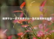 棋牌平台一条龙棋牌平台一条龙服务体验报告