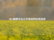 1比1棋牌平台公平竞技的在线选择