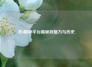 龙8棋牌平台揭秘其魅力与历史