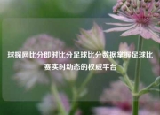 球探网比分即时比分足球比分数据掌握足球比赛实时动态的权威平台