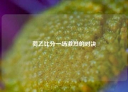 荷乙比分一场激烈的对决