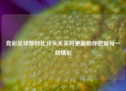 竞彩足球即时比分天天实时更新助你把握每一刻精彩