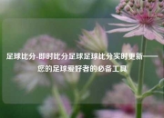 足球比分-即时比分足球足球比分实时更新——您的足球爱好者的必备工具