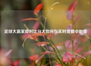 足球大赢家即时比分大如何在实时竞猜中取胜
