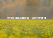 欧洲篮球锦标赛比分一场激烈的比拼