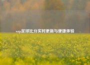 wap足球比分实时更新与便捷体验