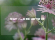 即嗨比分app你的足球爱好新伴侣