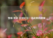 雪缘 竞彩 足球比分一场完美的碰撞