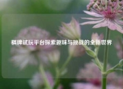 棋牌试玩平台探索趣味与挑战的全新世界