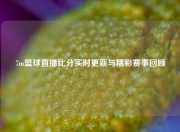 7m篮球直播比分实时更新与精彩赛事回顾