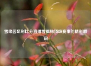 雪缘园足彩比分直播雪揭秘顶级赛事的精彩瞬间