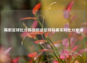 韩职足球比分韩国职业足球联赛实时比分查询