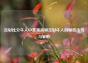 足彩比分牛人中奖票揭秘足彩牛人的秘密技巧与策略