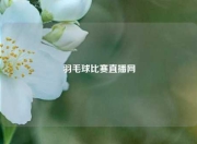 羽毛球比赛直播网
