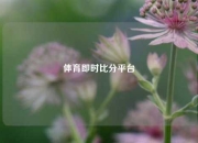 体育即时比分平台
