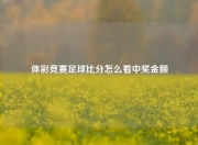 体彩竞赛足球比分怎么看中奖金额