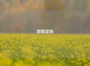 欧赔足彩