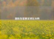国际友谊赛足球比分网