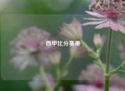 西甲比分赛果