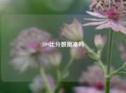 599比分数据准吗