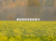 重庆时时龙虎彩官方