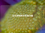 比分球探网手机版下载