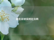 捷迅足球实时比分网