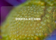 欧洲杯怎么买比分球队