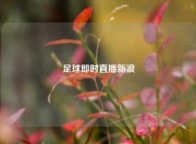 足球即时直播新浪