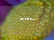 足彩大富翁app