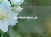葡萄牙西班牙足球比赛