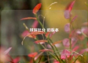 球探比分 旧版本