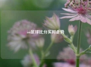 ios足球比分实时走势