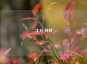 比分 网球