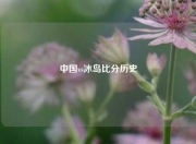 中国vs冰岛比分历史
