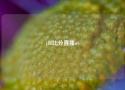188比分直播ny