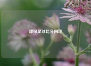 球探足球比分网球