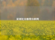 足球比分推荐分析网