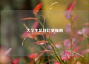 大学生足球比赛规则