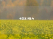 老版足球比分