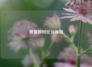 竞猜即时比分新浪