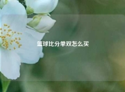 篮球比分单双怎么买