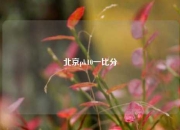 北京pk10一比分