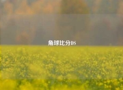角球比分DS