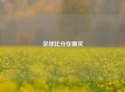 足球比分在哪买