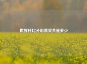 世界杯比分彩票奖金是多少