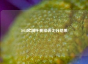 2018欧洲杯赛程表比分结果
