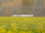 足球比分直播捷报体育