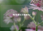 韩k联赛比分赛程2025